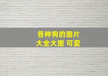 各种狗的图片大全大图 可爱